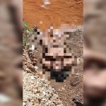 Gegerkan Warga, Mayat Pria Ditemukan Didalam IUP PT. Antam Site Kolaka