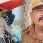 Kades Nengah Sebut Berkat Bupati Koltim, Petani Mekarjaya Panen Padi Sawah Dua Kali Tahun Ini