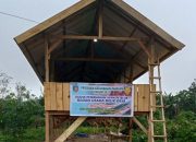 Persiapan Launching Unit Usaha Ayam Petelur BUMDes Maju Bersama Desa Sanggula