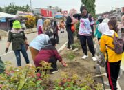 Perindah Median Jalan Kota Unaaha, DLH Konawe Tanam Ratusan Bunga Bougenvil Dan Melati Putih