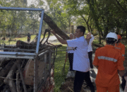 Jelang Rakordes Nasional, DLH Konawe Intensif Bersihkan Kawasan Perkantoran Pemda Konawe