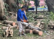 DLH Konawe Gaspol Tata Kelola RTH, Pohon Dipangkas, Kawasan Perkantoran Pemda Ditata