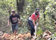 Camat Sampara Gandeng Pemdes Baini Konawe dan Alfamidi Bersihkan Sampah Liar Di Jalan Lalonona